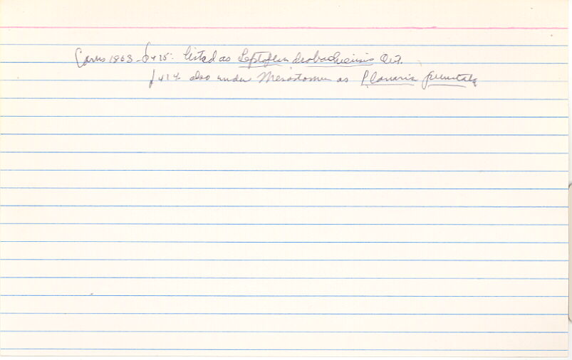 index card