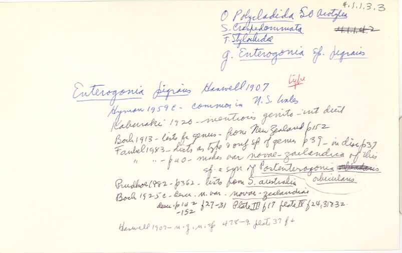 index card