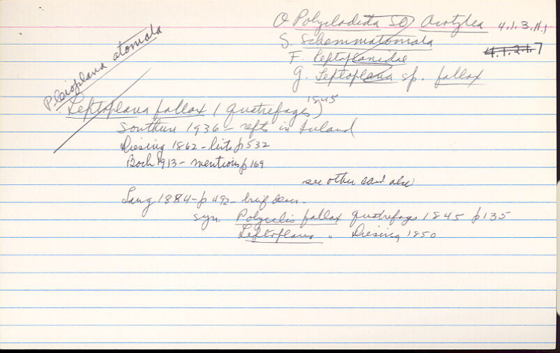 index card