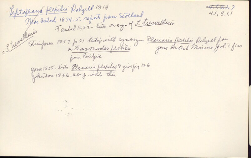 index card